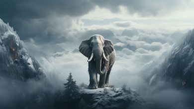 سندروم فیل سفید در مدیریت و کسب و کارها